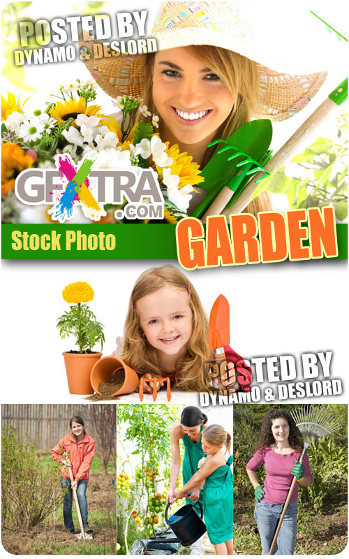 Garden - UHQ Stock Photo
