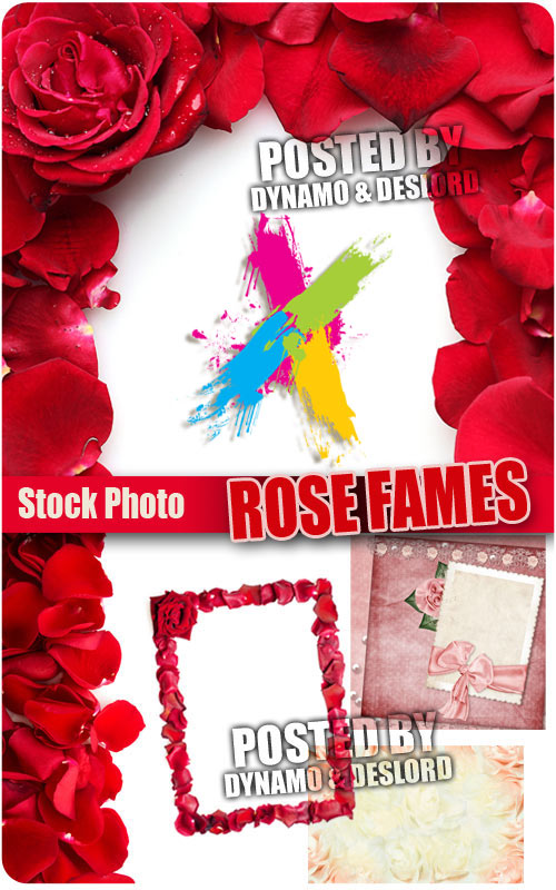 Rose Fames - UHQ Stock Photo