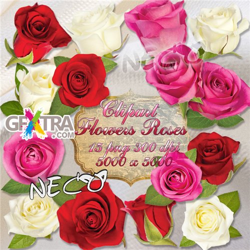 Clipart flowers and flower buds of roses PNG