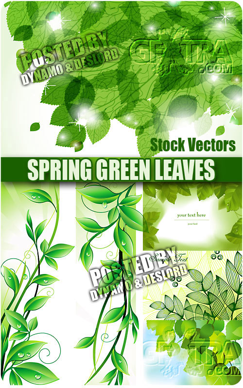 Spring green leaves - Stock Vectors