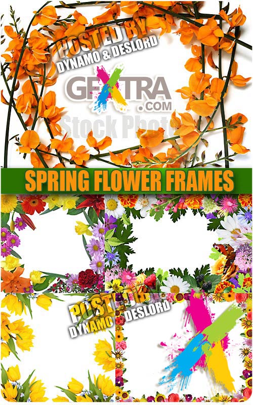 Spring flower frame - UHQ Stock Photo