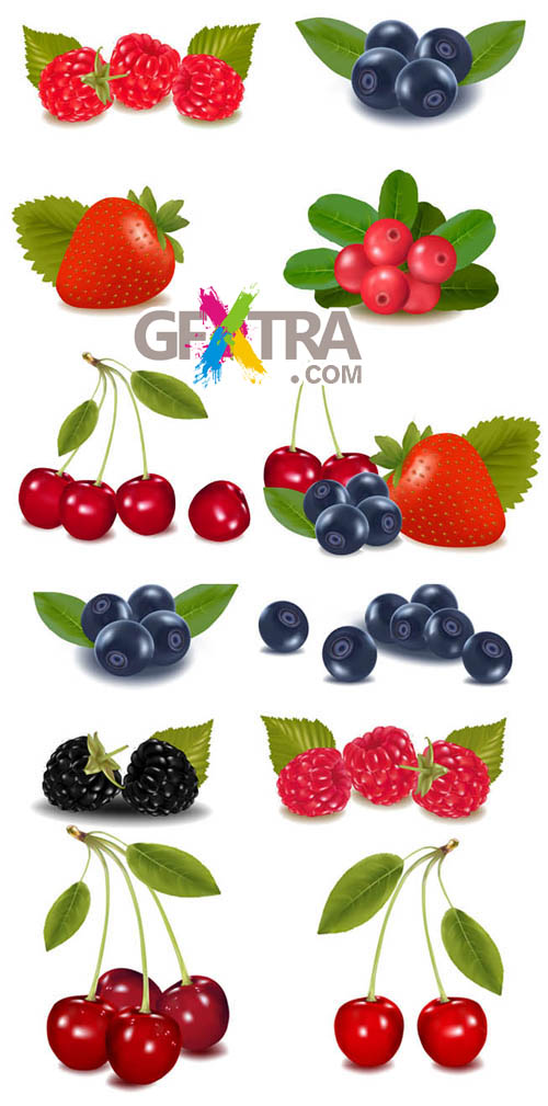 Collection With Berries and Cherries