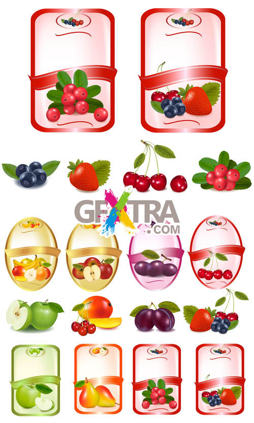 Fruit Labels Vector