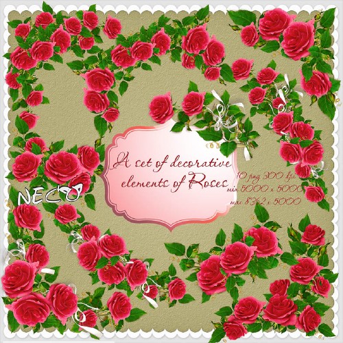 A set of decorative elements of Roses - angles, composition PNG 