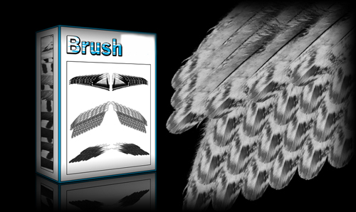Wings Brushes Set