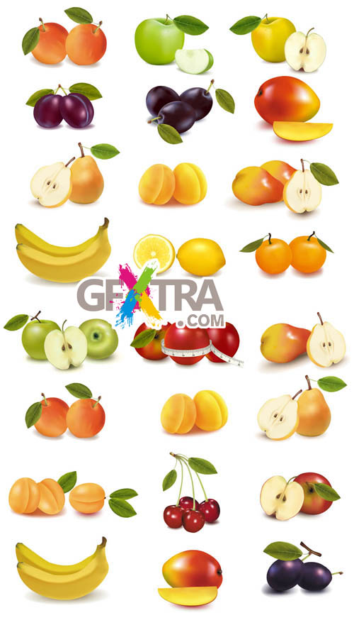 Fruits and Berries - Vector Pack #4