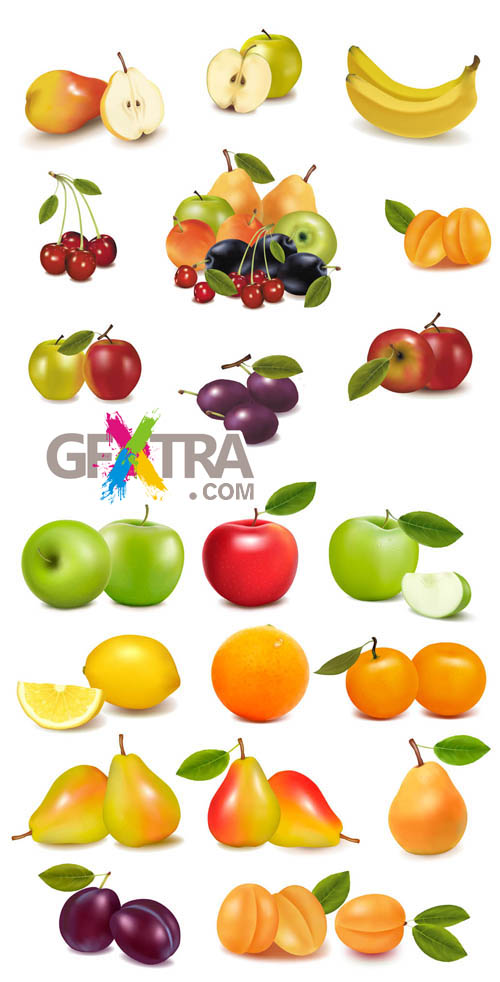 Fruits and Berries - Vector Pack #3