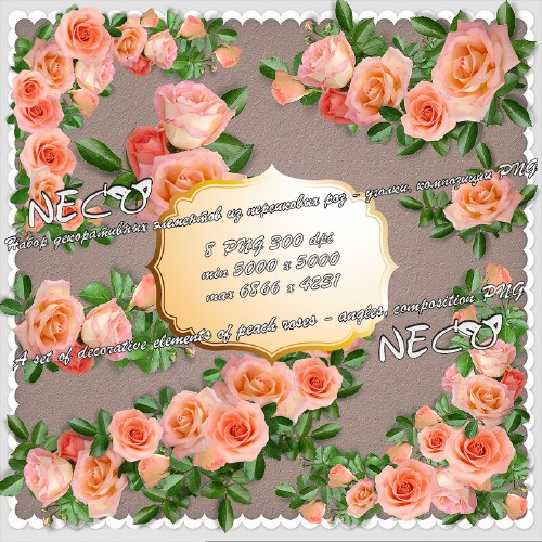 A set of decorative elements of peach roses - angles, composition PNG