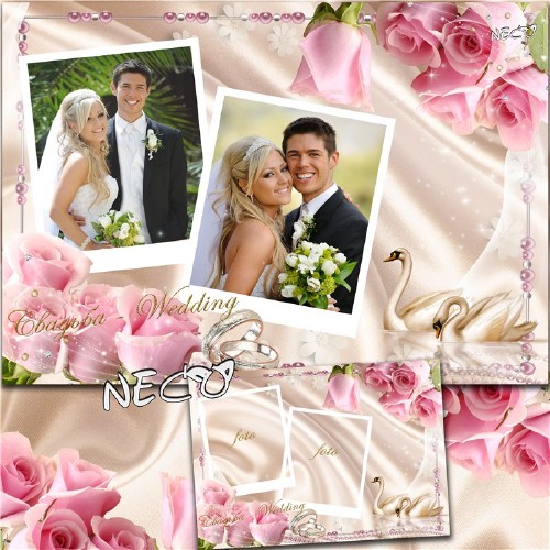 Elegant Wedding frame with a pair of swans, of pink roses on the two photographs