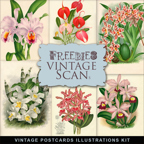 Scrap-kit - Vintage Postcards Illustrations - Spring Flowers Images