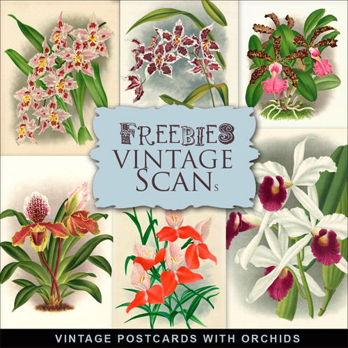 Scrap-kit - Vintage Postcards With Orchids - Spring Flowers Images