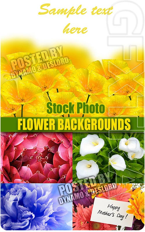 Flower backgrounds - UHQ Stock Photo
