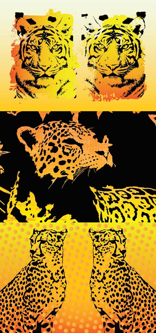 Tigers, Leopard and Jaguar Vector Animals