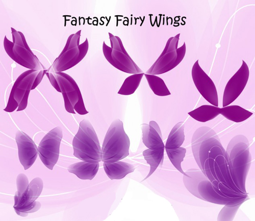 Fantasy Fairy Wings Set