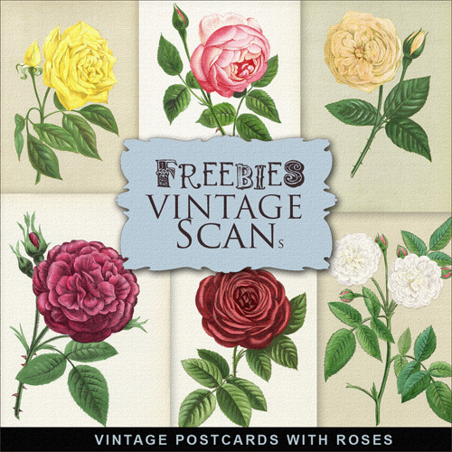 Scrap-kit - Vintage Postcards With Roses - Creative Flowers Images