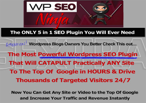 WP SEO NINJA V1.1.1 - WordPress Plugin