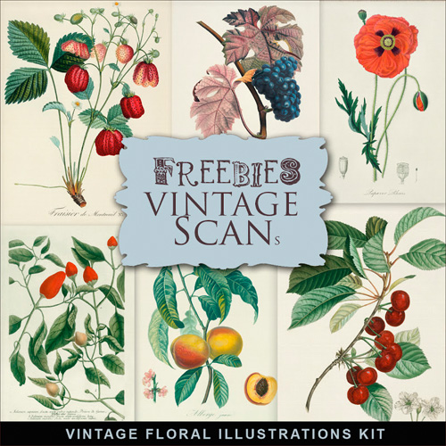 Scrap-kit - Vintage Floral Illustrations-beautiful images for creative design