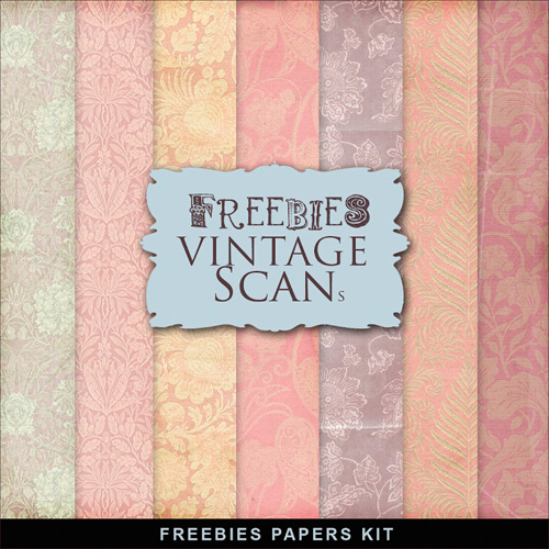 Textures - Old Vintage Backgrounds - Pink And Purpure Color Style With Flower Pattern