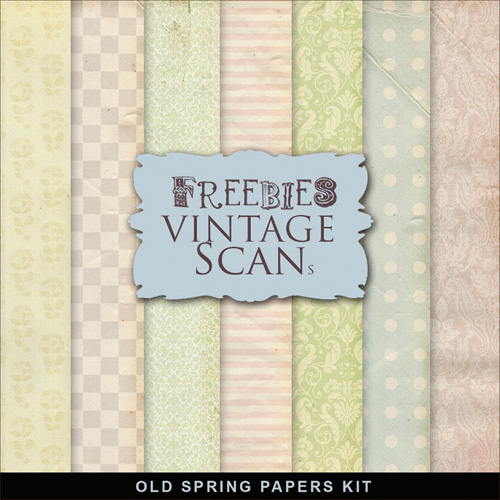 Textures - Old Vintage Backgrounds - Pink And Purpure Color Style With Flower Pattern 4