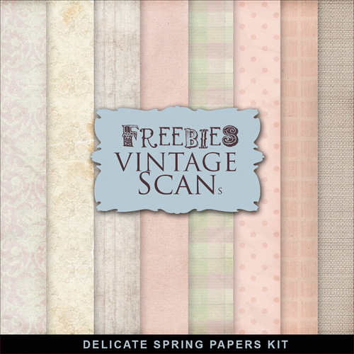 Textures - Old Vintage Backgrounds - Colored Style With Flower Pattern 9