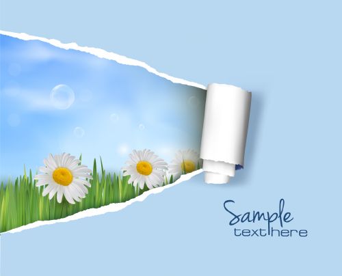 Amazing Nature Collection 25xEPS