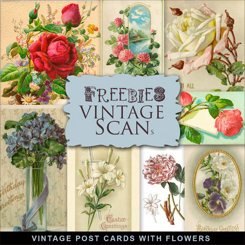 Scrap-kit - Old Vintage Illustrations Flowers For Creative Design 9