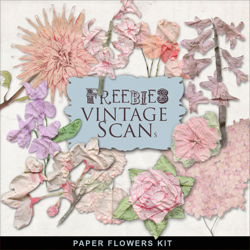 Scrap-Kit - Decorative Paper Flowers PNG Images