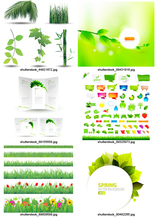 Amazing SS - Eco & Nature, 25xEPS Amazing SS - Eco & Nature, 25xEPS