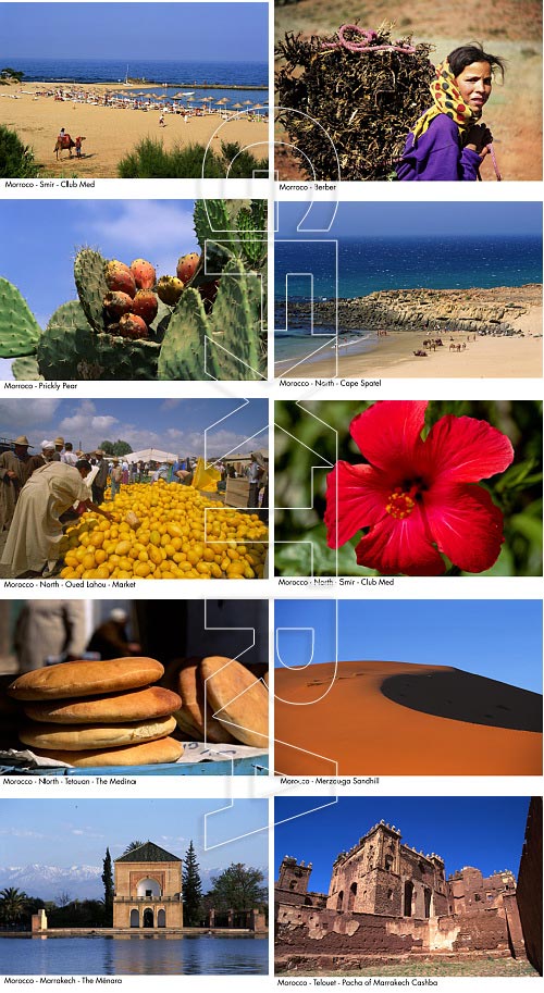 Author's Image 023 North Africa