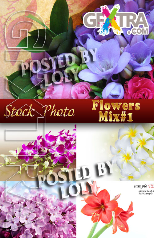 Flowers Mix #1 - Stock Photo