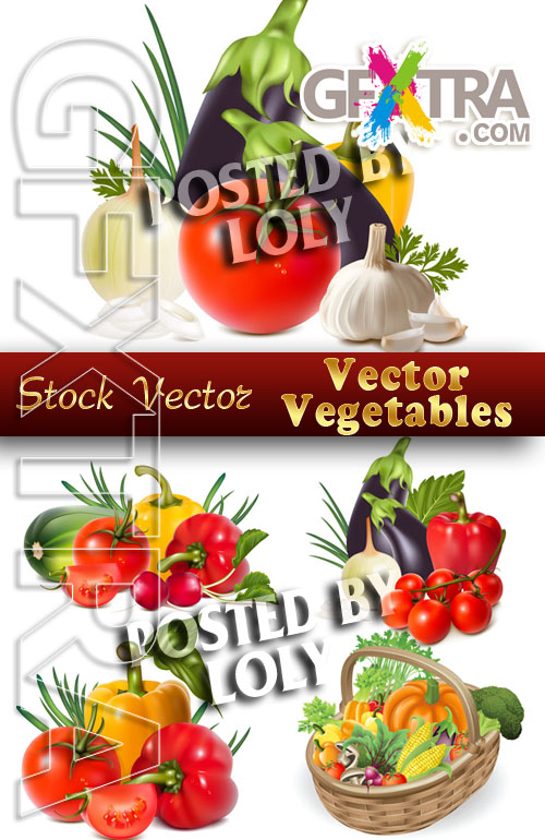 Vector Vegetables - Stock Vector