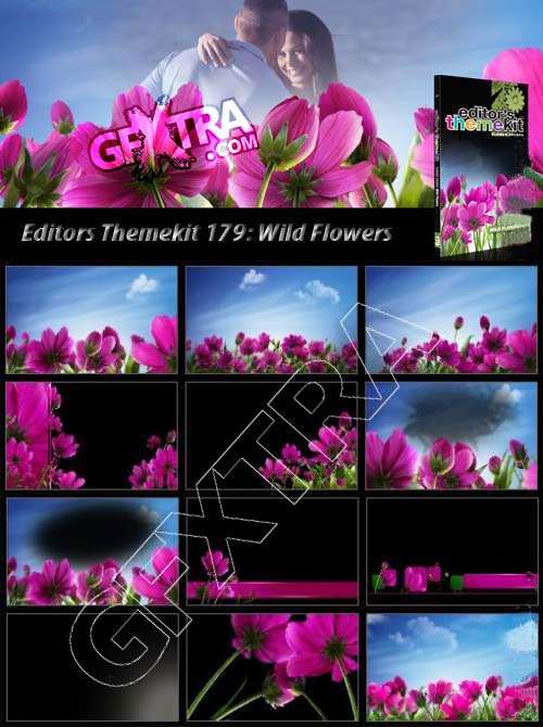 Editors Themekit 179 Wild Flowers (DVD-ISO)