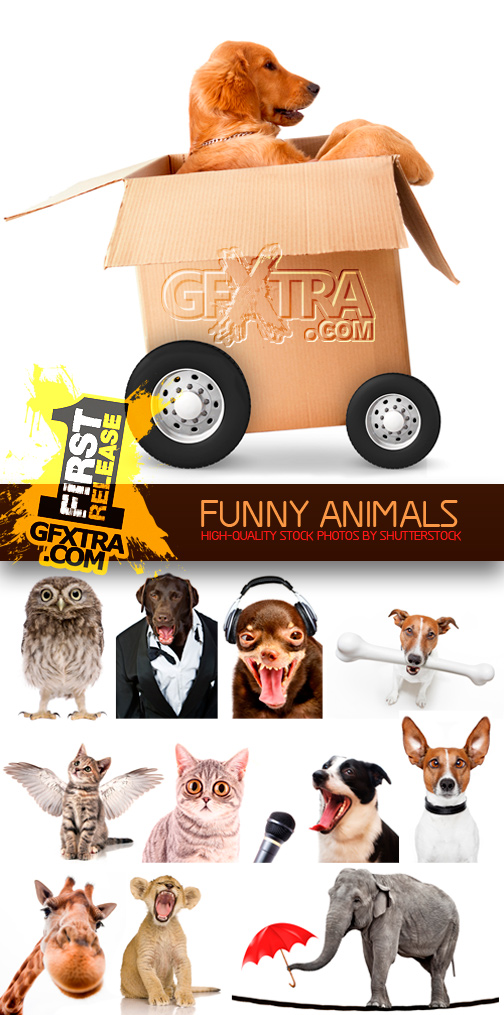 Amazing SS - Funny Animals, 25xJPGs