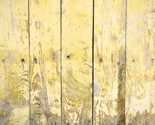 Wooden Floor Textures 24xJPG