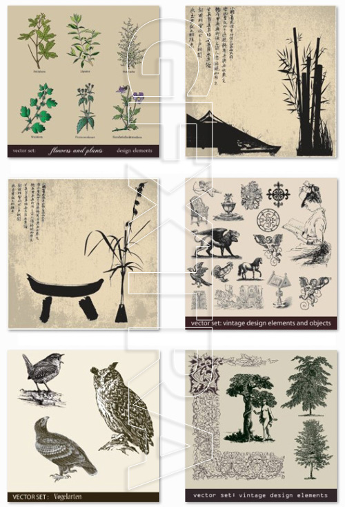 Vintage Design Elements and Objects, Animals and Nature, Calligraphy Vectors