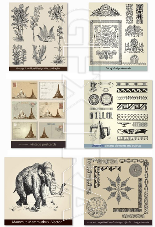 Vintage Design Elements and Objects, Animals and Nature, Calligraphy Vectors