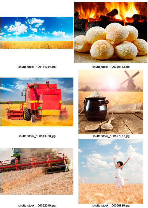 Amazing SS - Wheat &amp; Bread, 25xJPGs