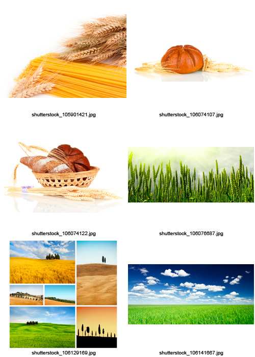 Amazing SS - Wheat &amp; Bread, 25xJPGs