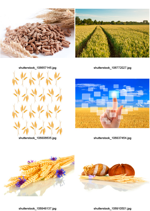 Amazing SS - Wheat &amp; Bread, 25xJPGs