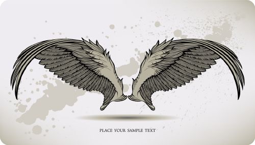 Wings Collection - Shutterstock 25xEPS