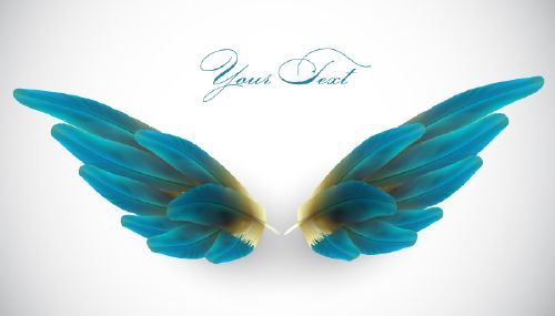 WingsCollection-Shutterstock25xEPS