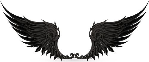 WingsCollection-Shutterstock25xEPS