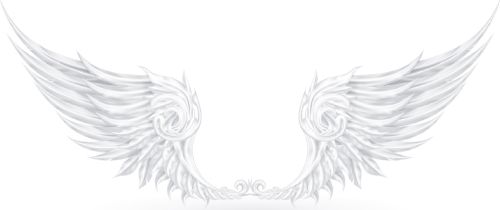 WingsCollection-Shutterstock25xEPS