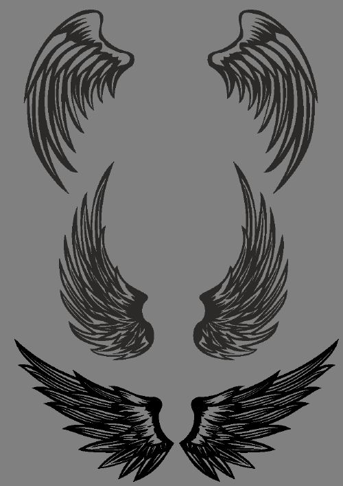 Wings Collection 25xEPS