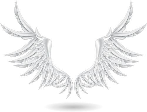 WingsCollection-Shutterstock25xEPS