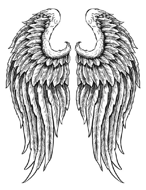 Wings Collection 25xEPS