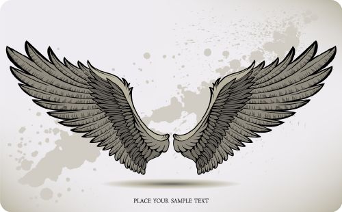 Wings Collection - Shutterstock 25xEPS