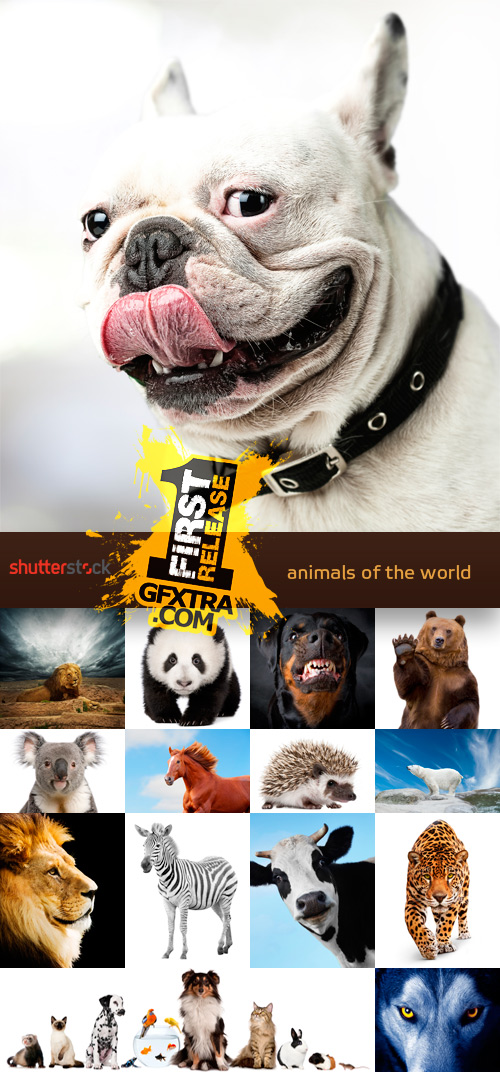 Amazing SS - Animals of the World, 25xJPGs