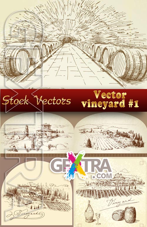 Vector vineyard - Stock Vector