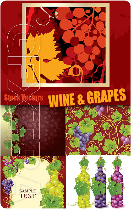 Wine and grapes - Stock Vectors